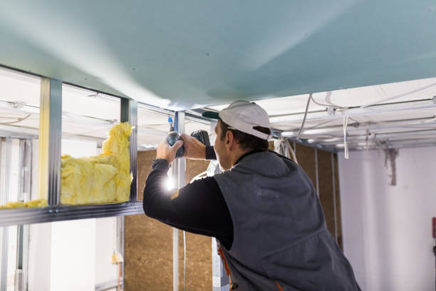 Best Blown-in Insulation  in Lucas, TX