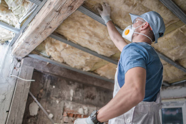 Best Professional Insulation Contractor  in Lucas, TX