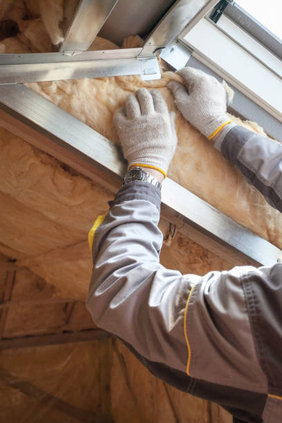Best Cellulose Insulation  in Lucas, TX