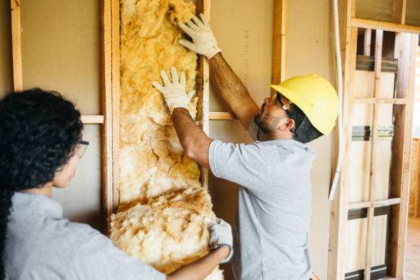 Insulation Inspection Services in Lucas, TX
