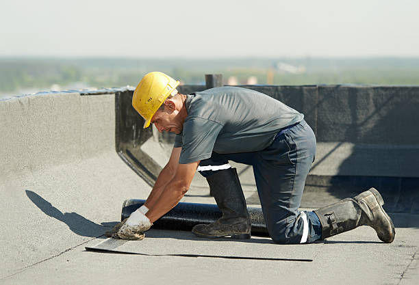 Best Insulation Contractor Near Me  in Lucas, TX