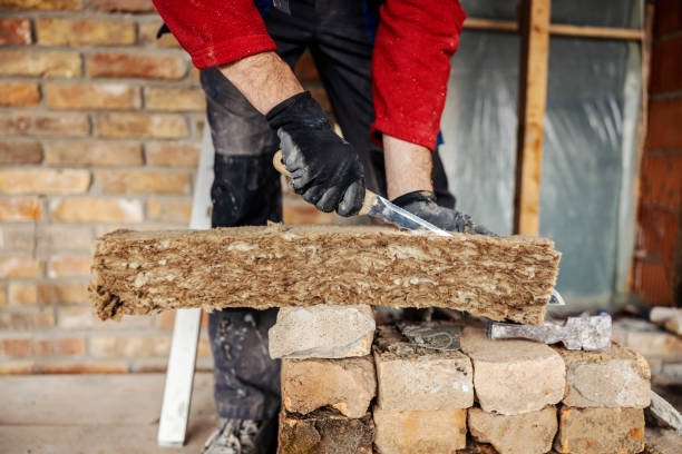 Best Insulation Repair Services  in Lucas, TX