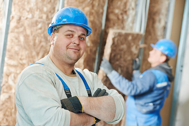 Best Energy-efficient Insulation  in Lucas, TX