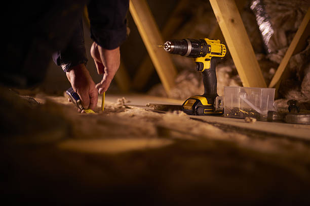 Best Professional Insulation Contractor  in Lucas, TX