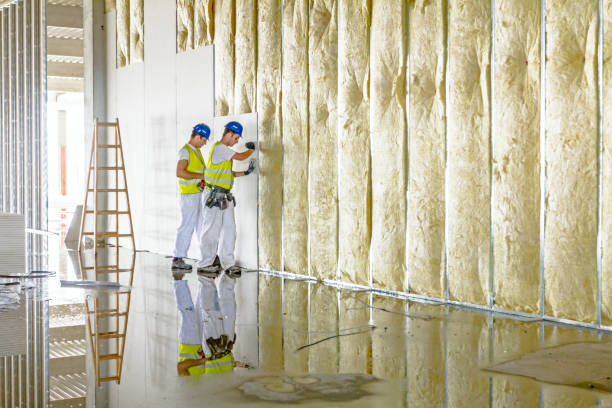 Best Commercial Insulation Contractor  in Lucas, TX